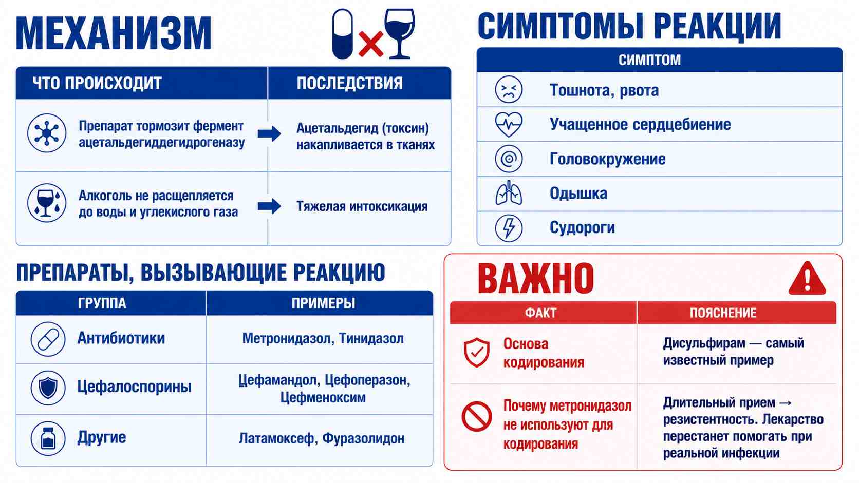 Инфографика о механизме дисульфирамоподобной реакции